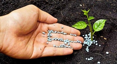 تصویر 4 از قیمت خرید نانو کود پتاسیم + فروش ویژه